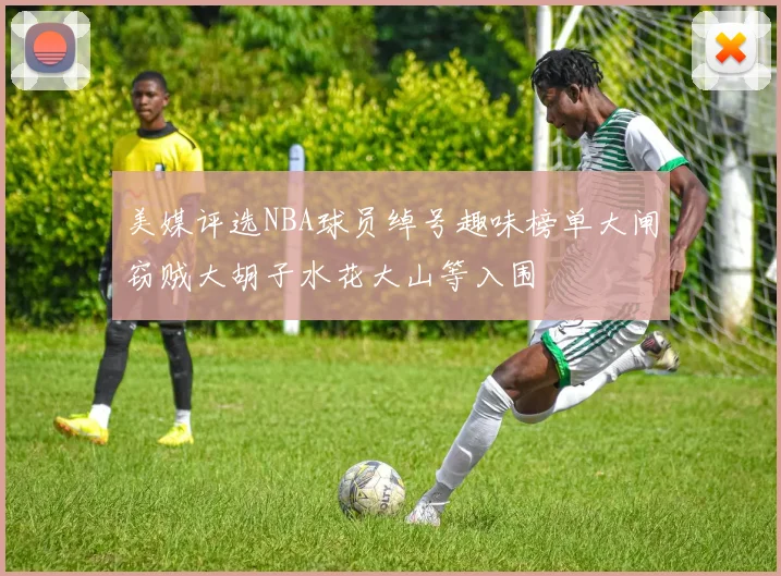 美媒评选NBA球员绰号趣味榜单大闸窃贼大胡子水花大山等入围
